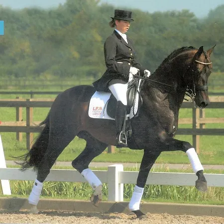 Hubertushof Lichtenau (Westphalia)